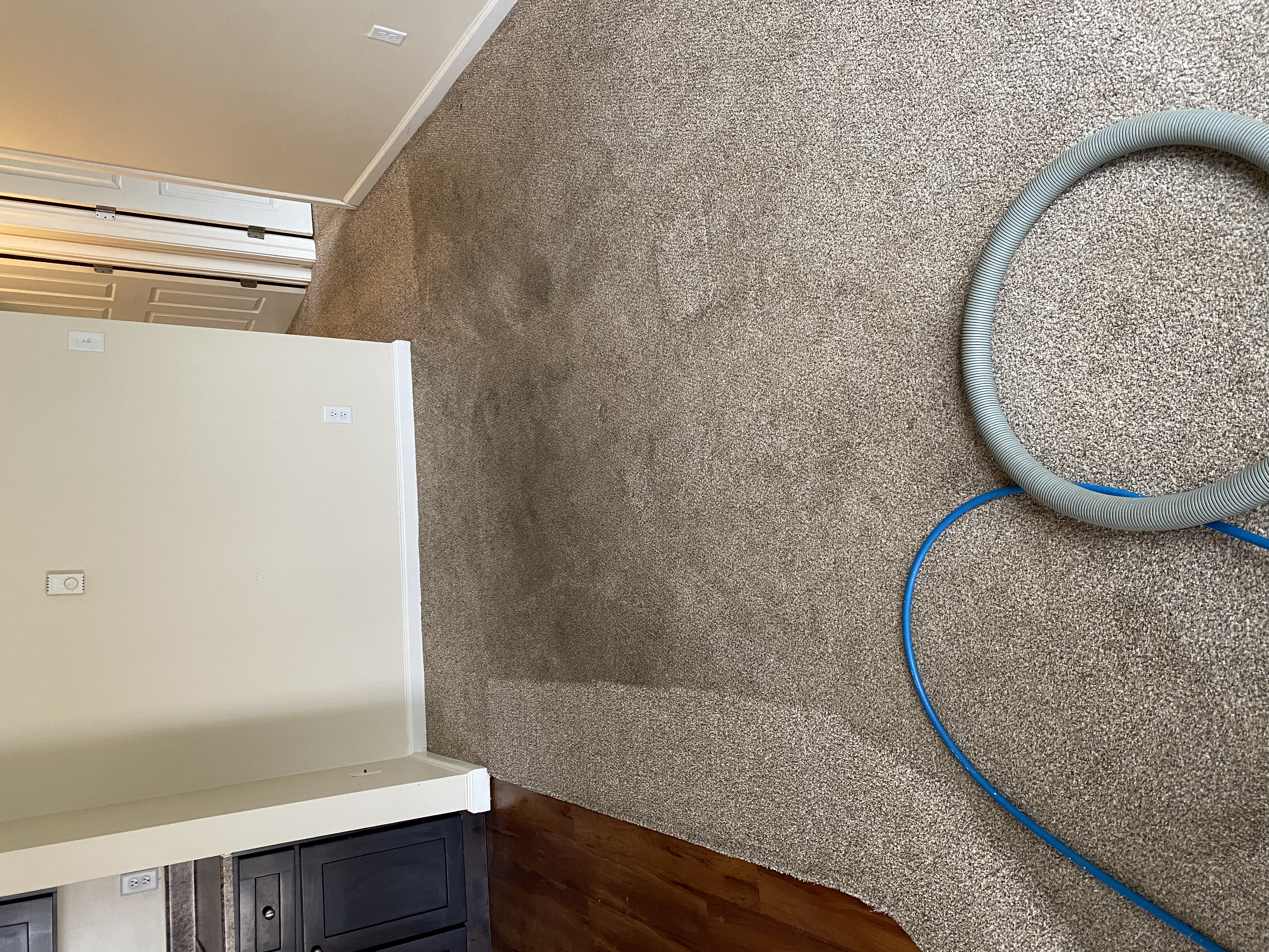 Before carpet cleaning - dirty carpet in Danville IL home