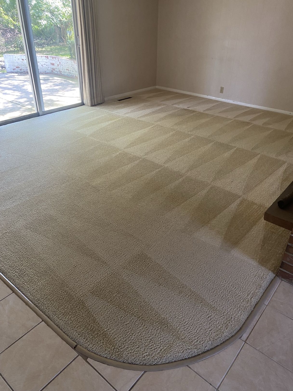 After carpet cleaning by TLC - restored carpet with clean lines