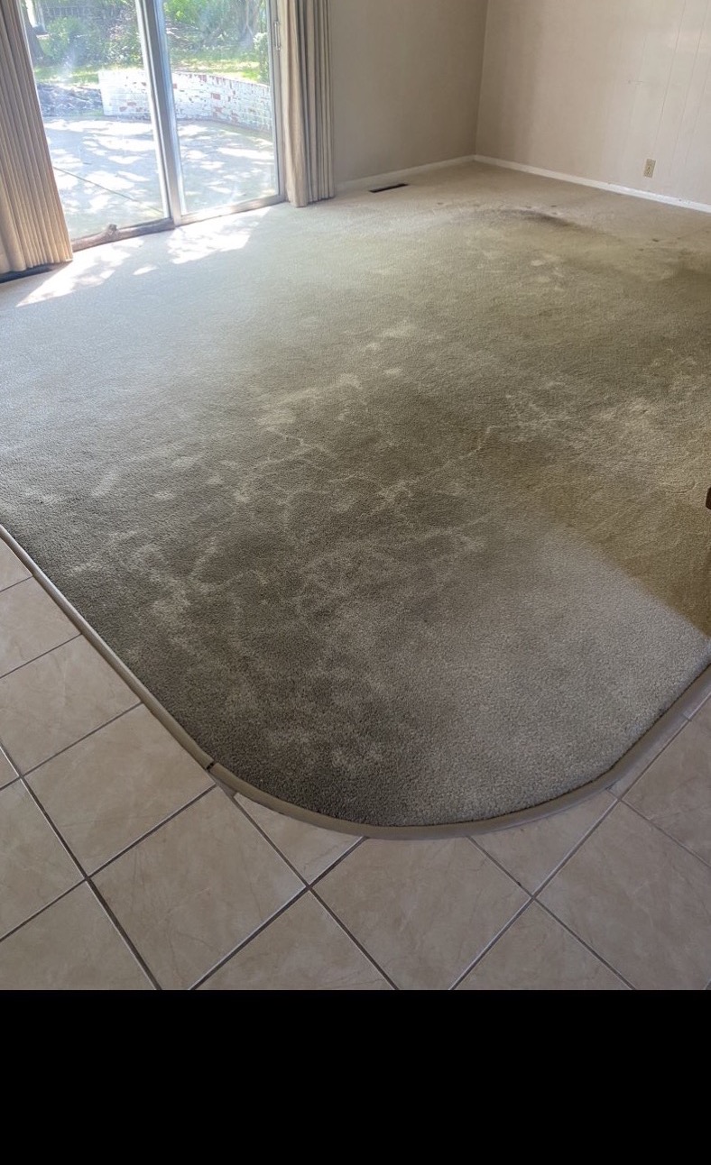 Before carpet cleaning - stained carpet Vermilion County